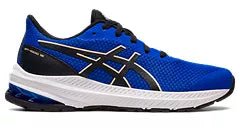 Kid's Asics GT 1000 12 GS - Bauman's Running & Walking Shop