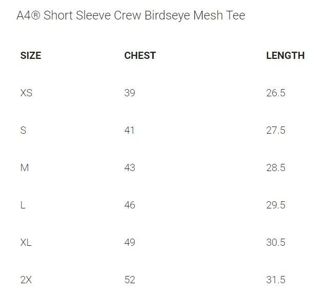 Men's A4 Birdseye Mesh Short Sleeve - Fenton Track & Field Stripes - Bauman's Running & Walking Shop